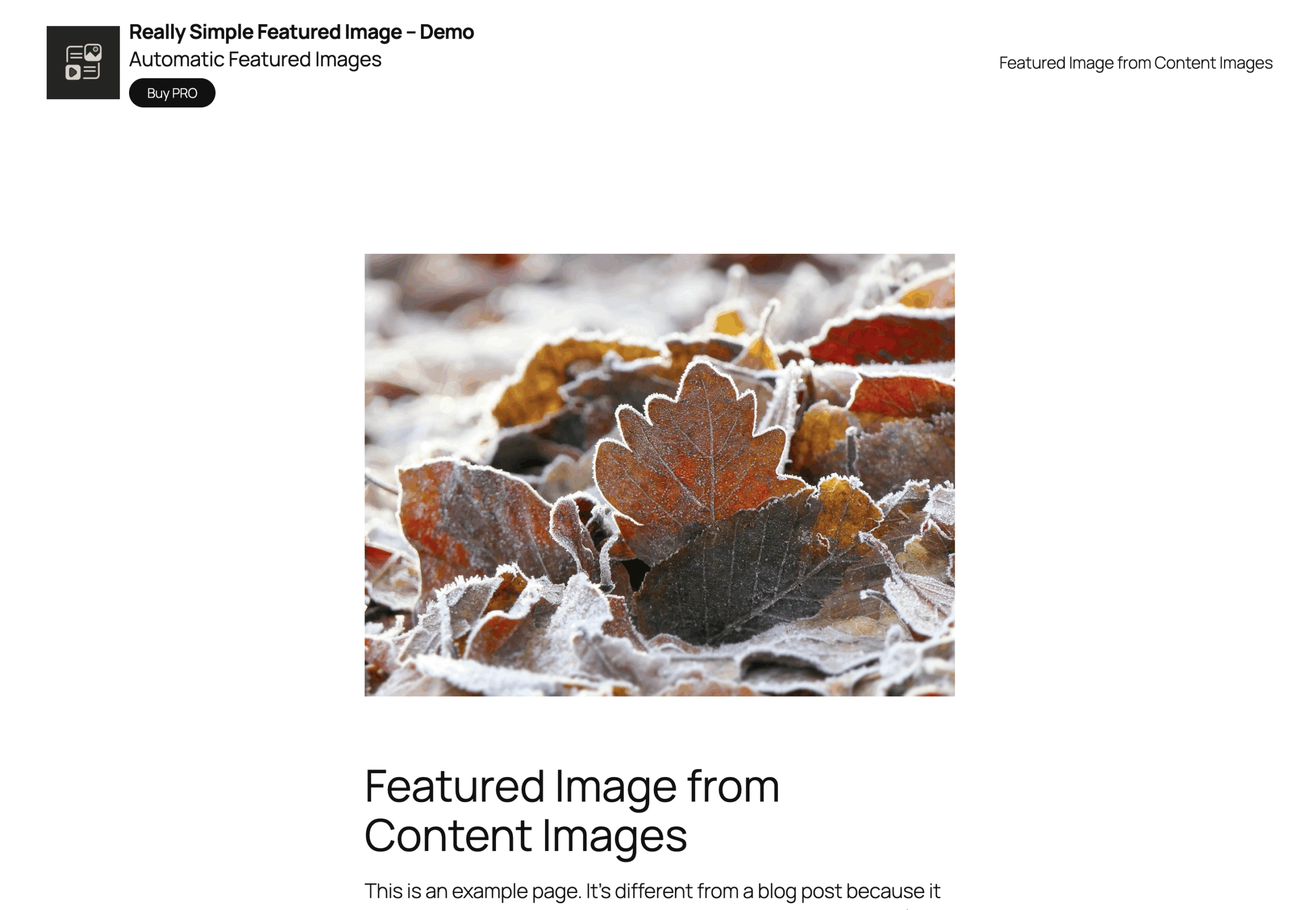 Featured images from content images